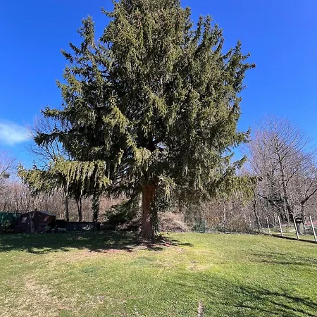 Casa de Férias Spacious Family With River Access Izaourt